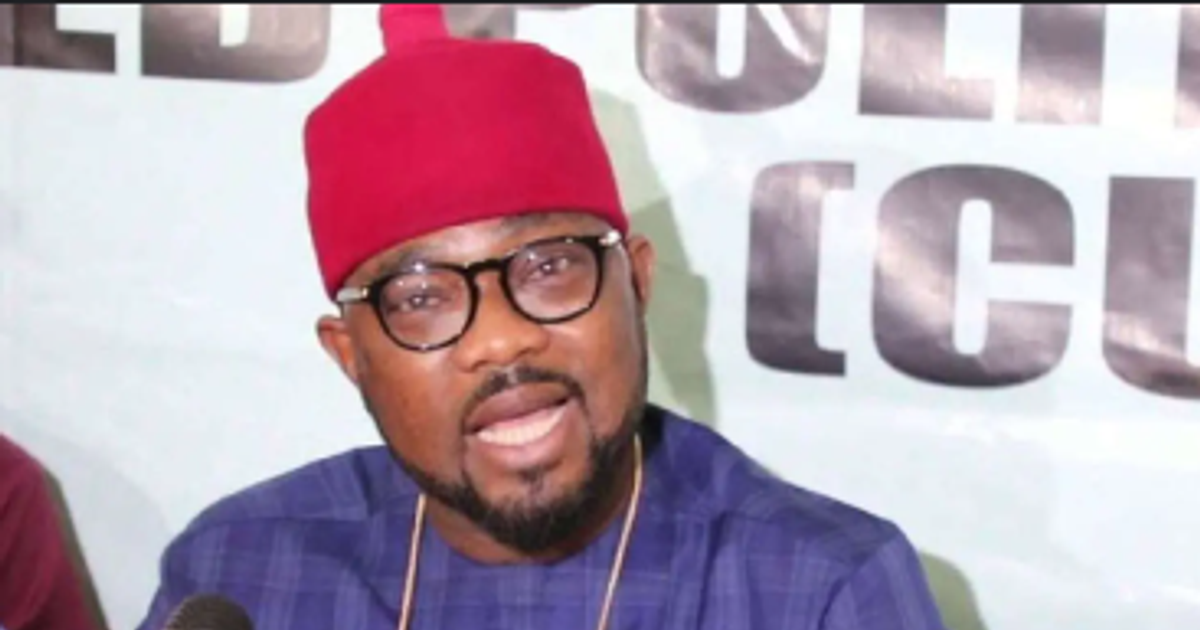 PDP group raises alarm over Ugochinyere's activities in House of Reps ...