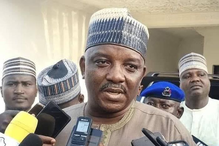 Former Minister of Power, Saleh Mamman [Blueprint Newspapers Limited]