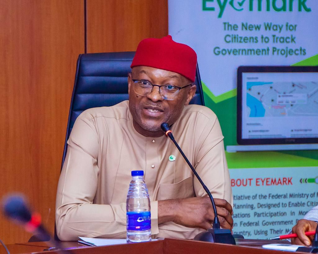 Engr. Nebeolisa Anako, the permanent secretary of the Ministry of Budget and Economic Planning. [Original/Segun Adeyemi]