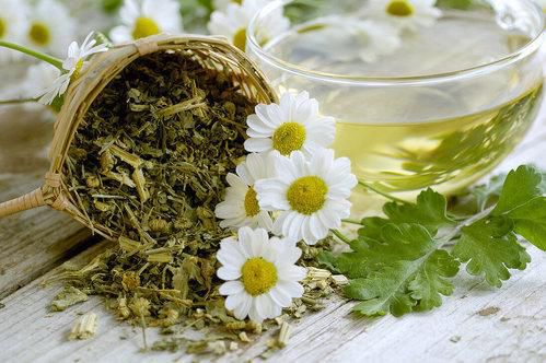 Feverfew tea [Kailash Herbs]