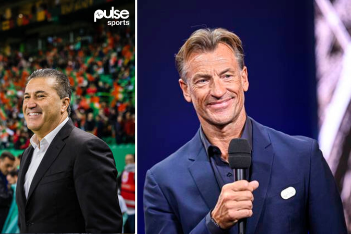 Nigeria’s bid to find Peseiro successor suffers set back as 3 more countries join chase for Herve Renard