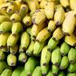 Which bananas are healthiest for you?