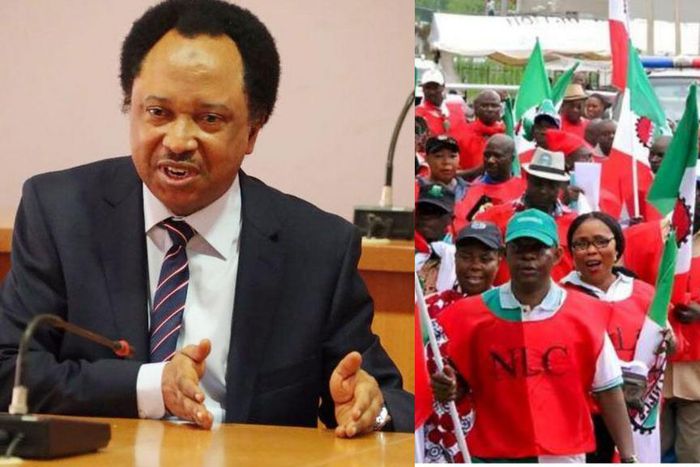 No worker can survive on less than N100,000 minimum wage –Shehu Sani