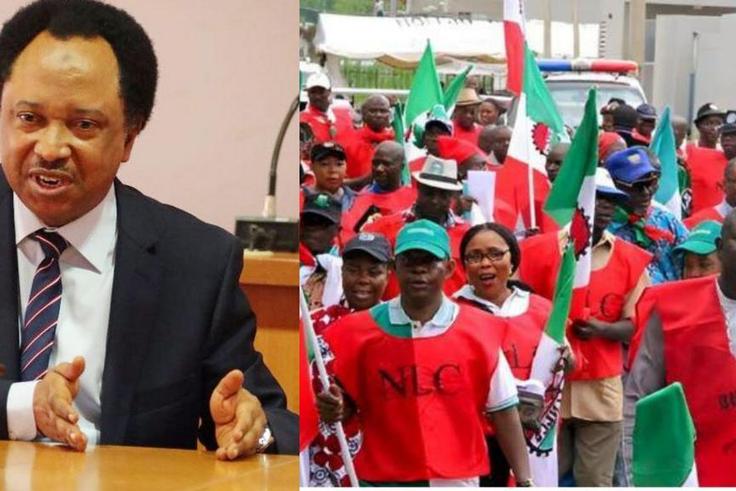 No worker can survive on less than N100,000 minimum wage –Shehu Sani