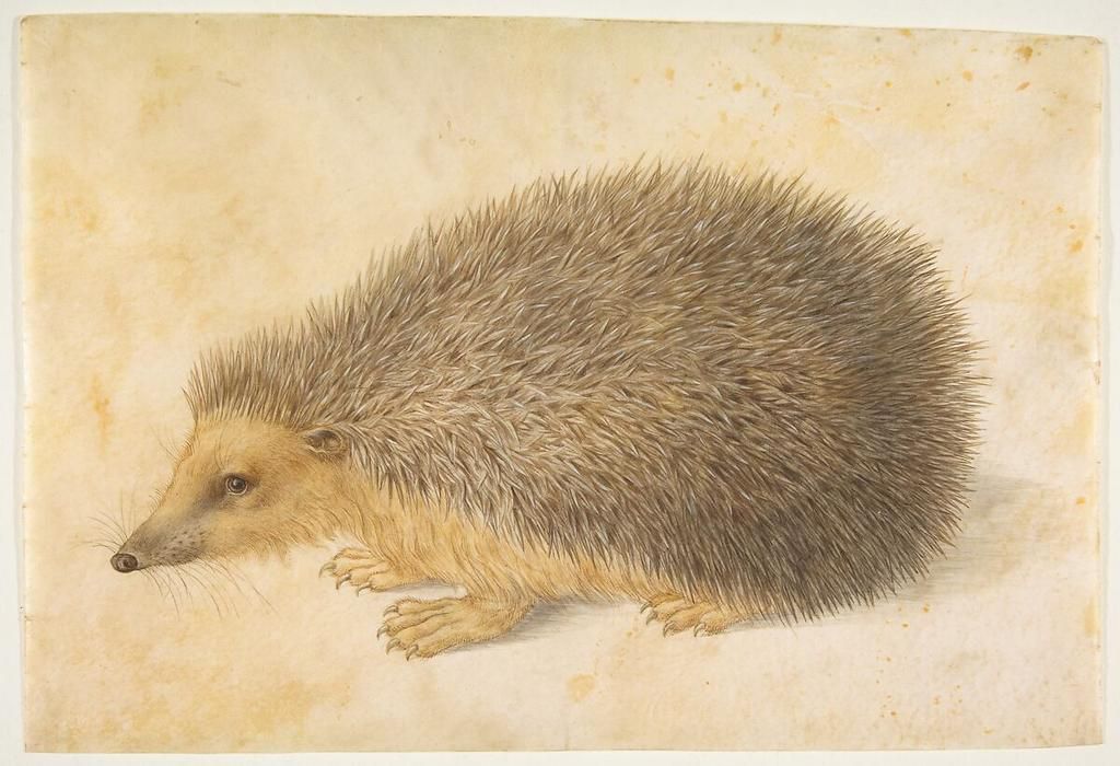 Hedgehogs were kept as pets in Ancient Rome [DailyArtMagazine]