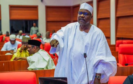 Senator Ali Ndume. [Facebook]