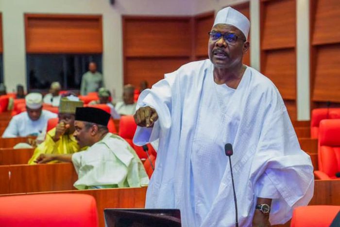 Senator Ali Ndume. [Facebook]