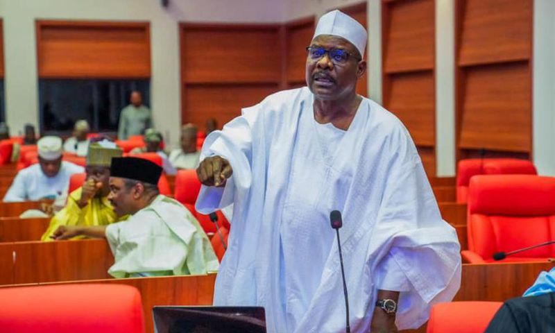 Senator Ali Ndume. [Facebook]