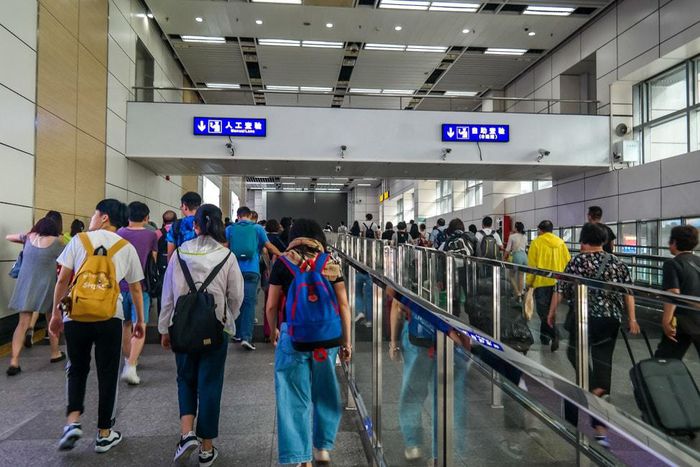 The snakes were of different species, colours, and sizes [Drive on the Left]