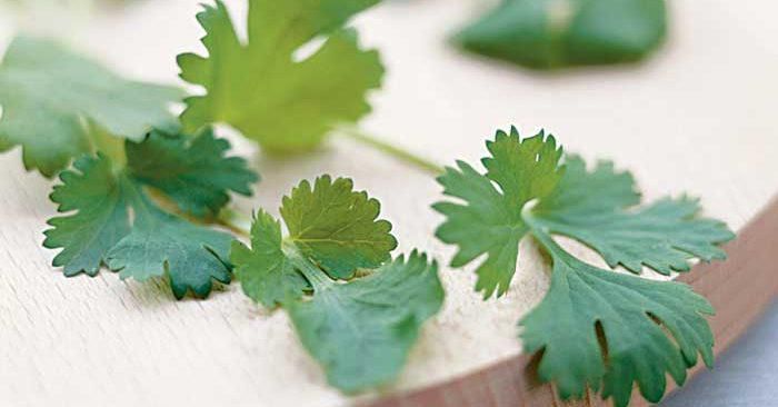 Parsley [BBC Good Food]