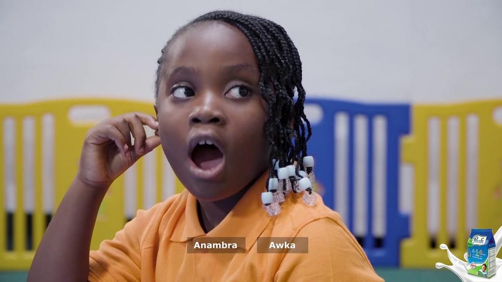 Memorising all states and capital in Nigeria isn't as useful today [YouTube]