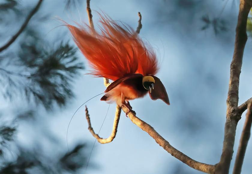 Port Moresby, Papua New Guinea [123RF]