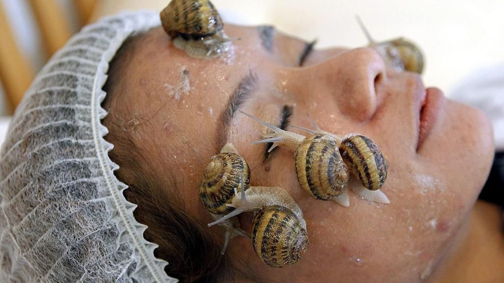 Snails in skincare [TheGuardianNigeria]