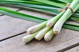 A photo of lemon grass