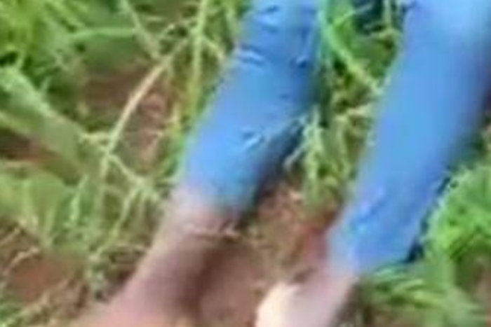 She was found without her upper garment [Linda Ikeji Web]