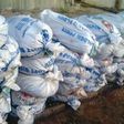 Sacks of Indian hemp [Channels Television]