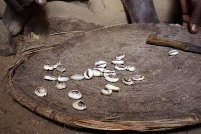 Police tagged them ritualists because they were in possession of cowries [The Guardian]