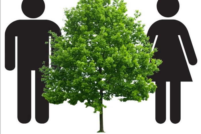 Do plants and trees have sexes? [WoodlandClassroom]