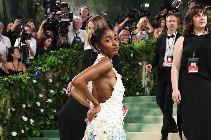 2024 Met Gala.Gilbert Flores/Getty Images