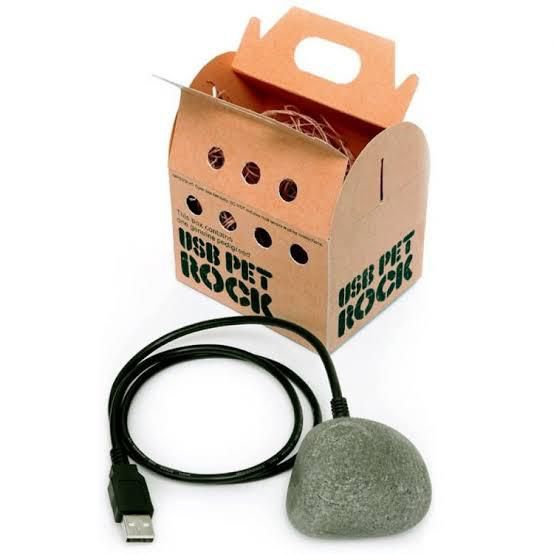 USB pet rock  [Pulji]