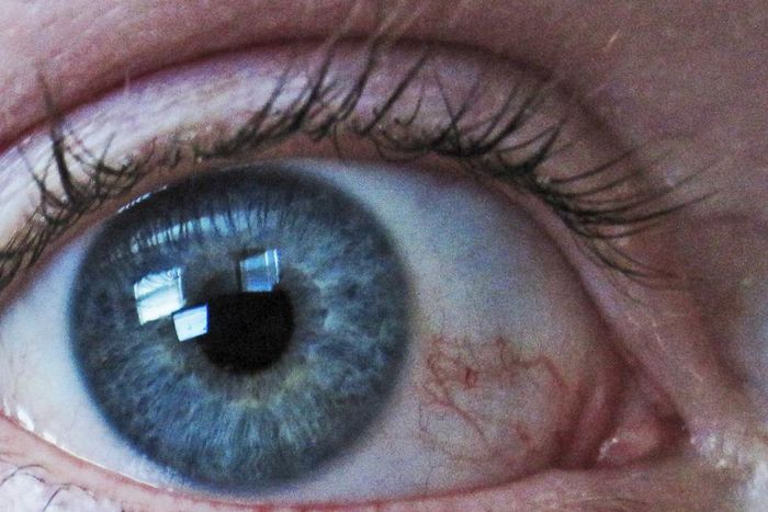 It may be of some use in treating glaucoma, or it may be possible to derive a drug from marijuana for this use.