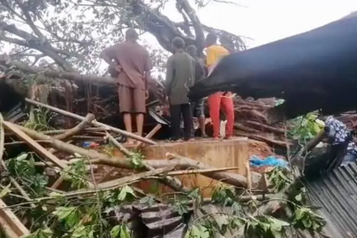 Trees kill four at Jattu market during rainfall in Edo