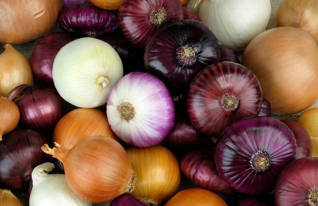 benefits of onions sexually [medicalnews