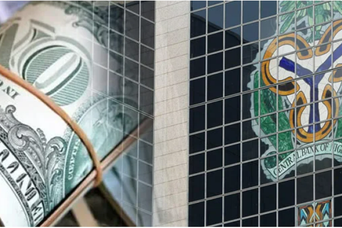 Nigeria's Central Bank pumps $500 million into forex market to tackle backlog