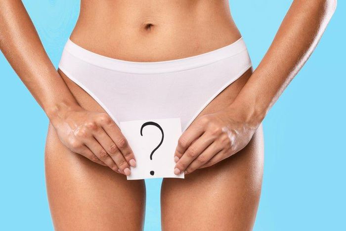 Frequently asked questions about the vagina [ImbueNatural]