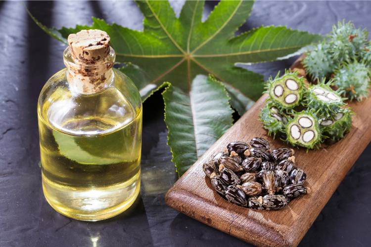 Benefits of castor oil [bali buda]