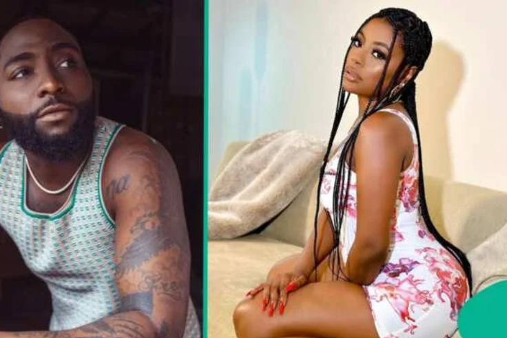 All I want is joint custody, Davido tells Sophia Momodu
