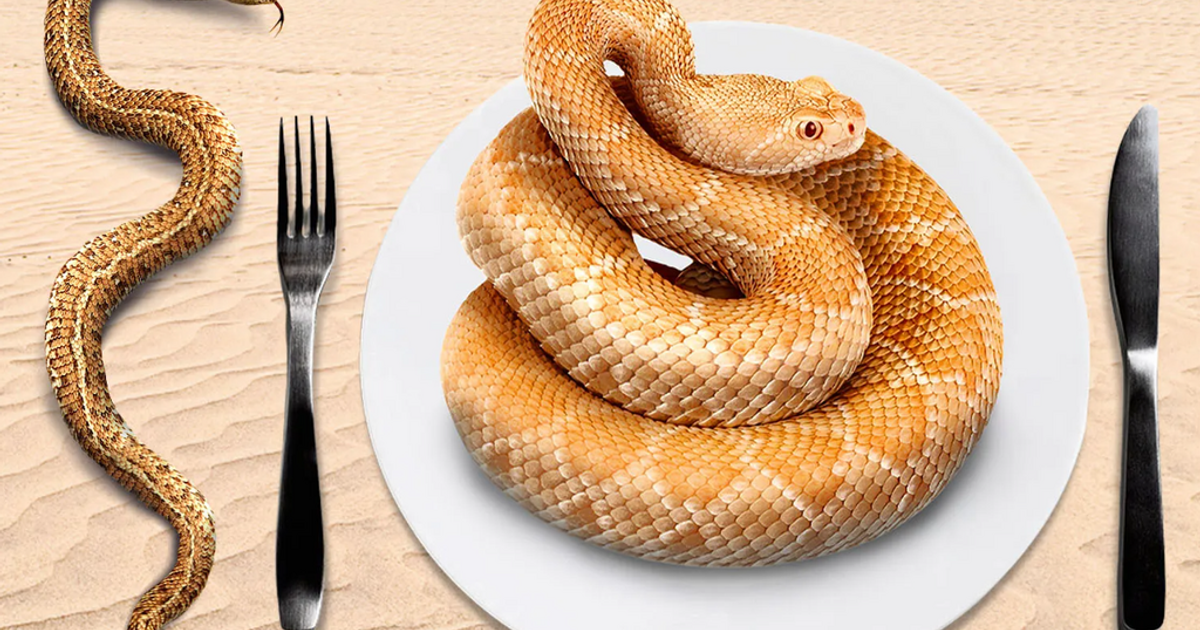 Curated visual reference: Gallery Detail: What To Know About The Snake Diet And Why You