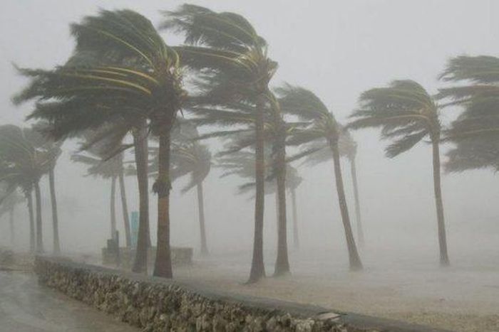 Windstorm kills 1, displaces 575 in Imo community. [thenewwatcher]