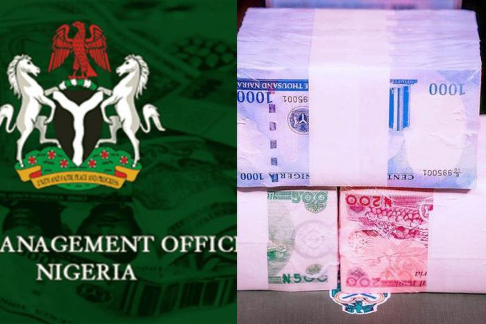 FG offers 3 bonds valued at ₦300bn for subscription