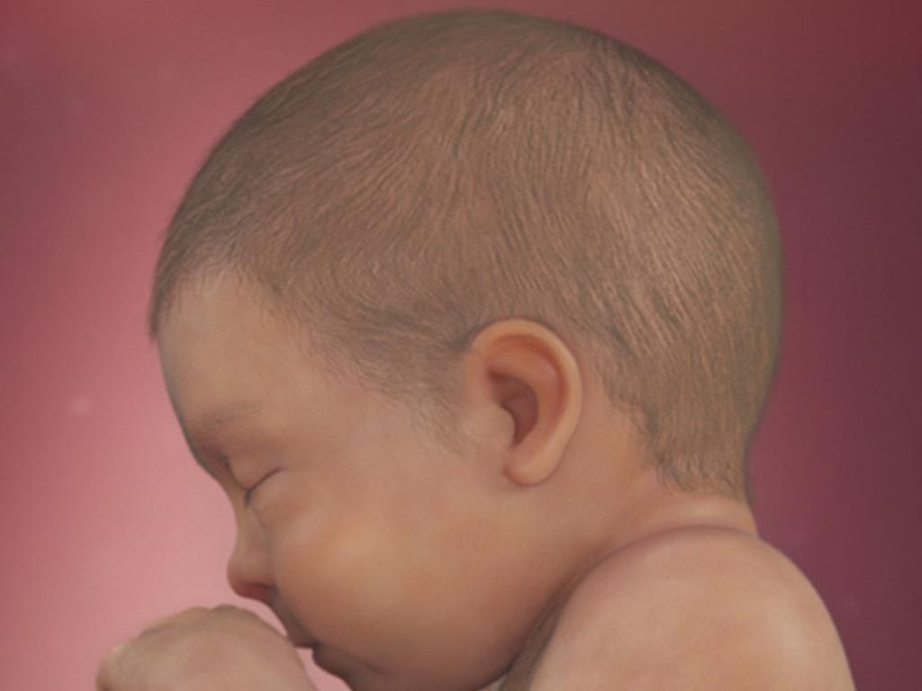 Your baby hears lounder around 23 weeks [BabyCenter]