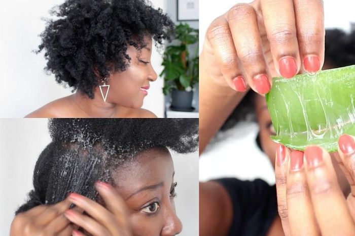Aloe Vera is just what your hair needs [youtube/adede]