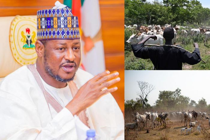 Governor Dikko Radda  [Facebook/Getty Images]