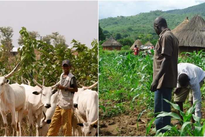 Farmers and Herders clash [FarmingFarmersFarms]