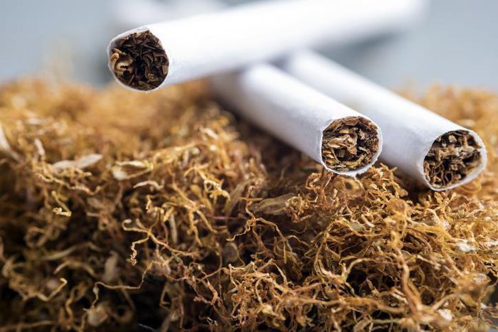 10 African countries with the lowest population of tobacco users