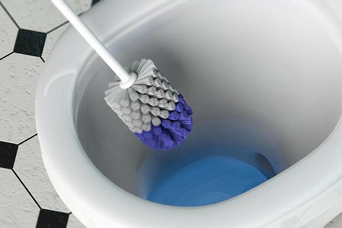 Leaving toilet brushes in their holders can cause bacteria to grow.