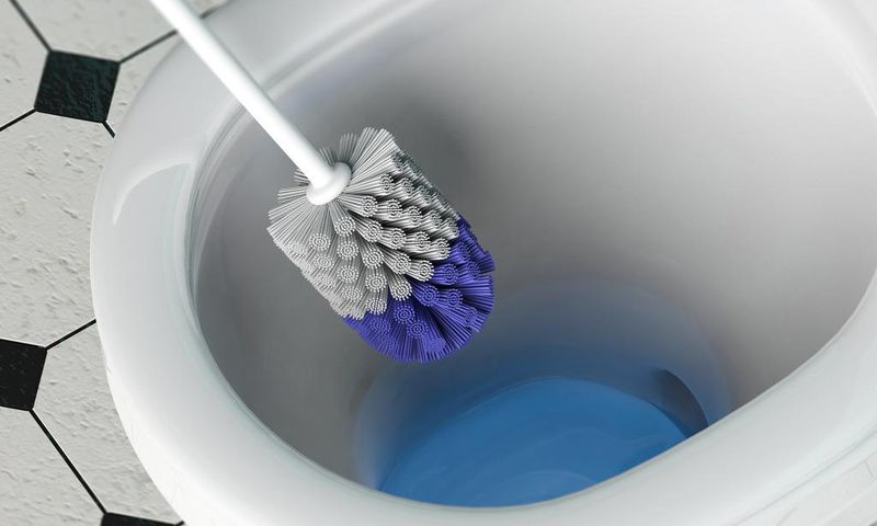 Leaving toilet brushes in their holders can cause bacteria to grow.