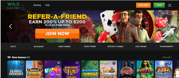 Wild Casino: Premier American Online Casino with 20+ Roulette Variants
