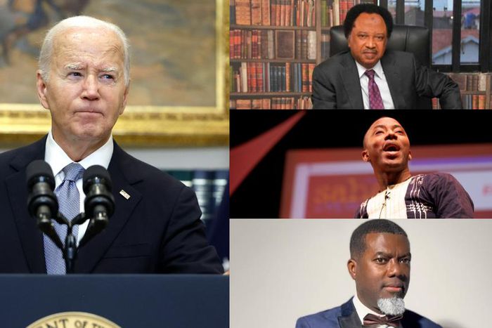 Nigerian political elites and critics have reacted to US President Joe Biden's resignation as presidential candidate for the Democrat.