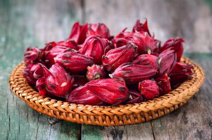 Hibiscus may lower blood pressure [GoldenTherapy]