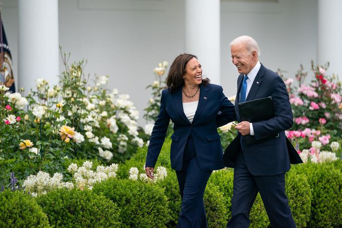 Joe Biden endorses Kamala Harris as Democrats' candidate after withdrawing from race [X:@JoeBiden]