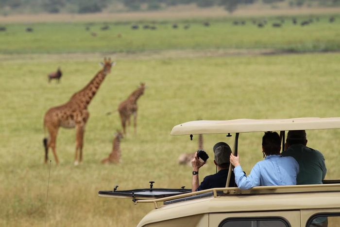 A self-drive Rwanda vacation can be an exciting and enriching experience