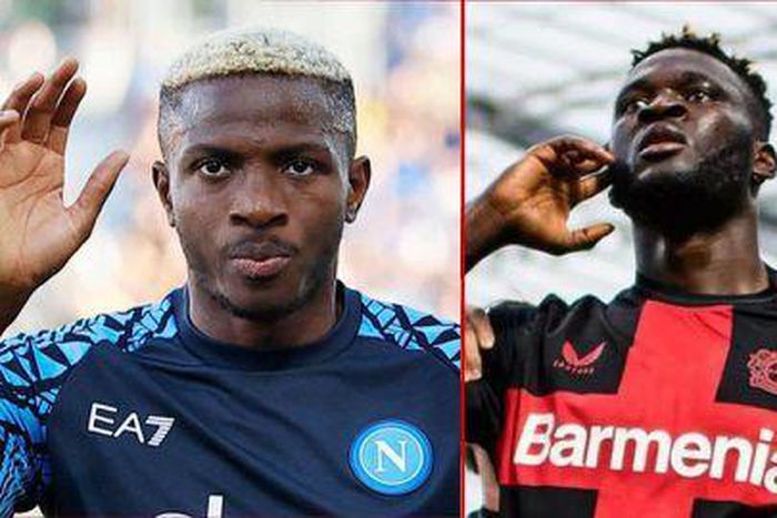 No Osimhen? Give us Boniface — Chelsea desperate to tap into Super Eagles' striker pool