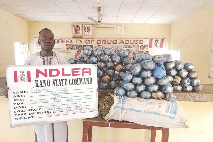 NDLEA seizes 2,144 parcels of hemp in Lagos, arrests suspect who jumped bail  [Facebook:NDLEA]