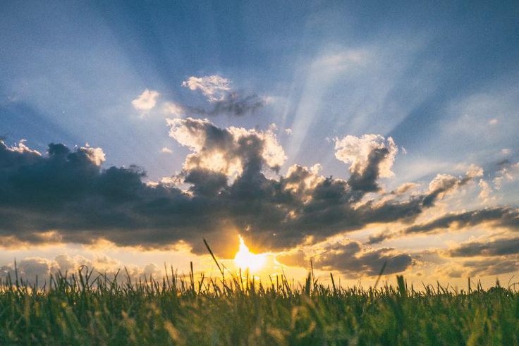 Sunshine [Family Health Care of Siouxland]