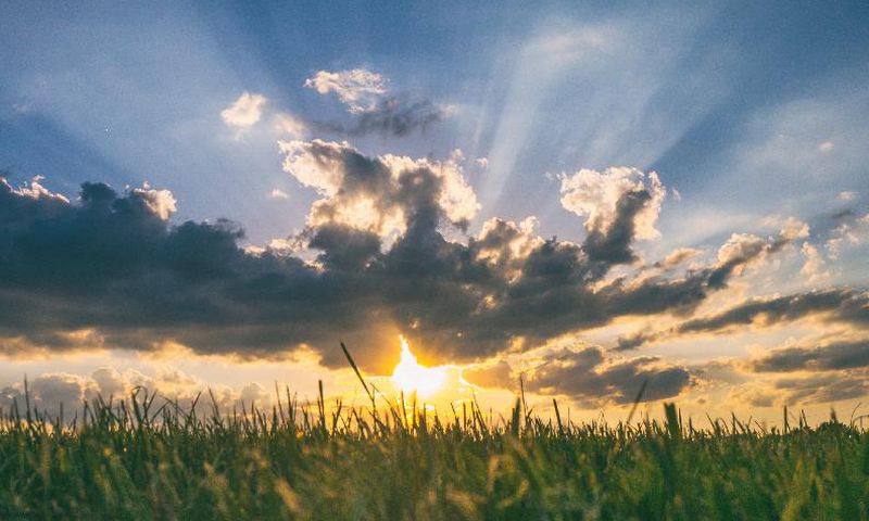Sunshine [Family Health Care of Siouxland]